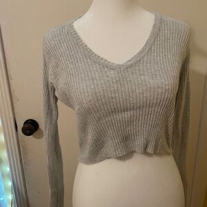 Brandy Melville Gray Cozy Cropped Sweater